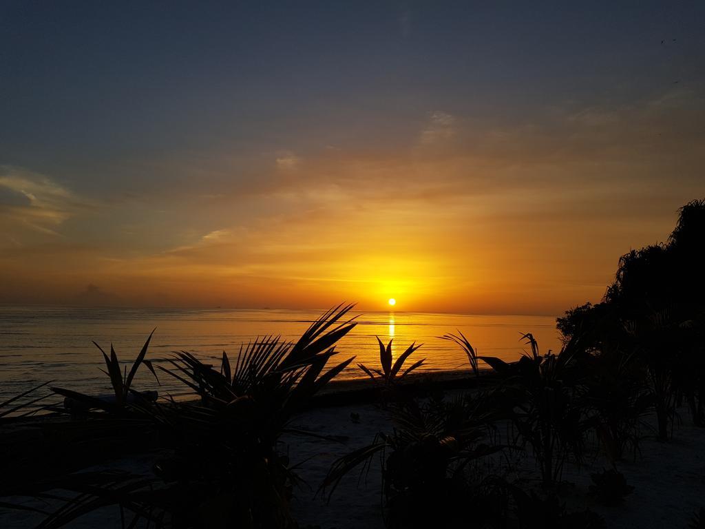 Island Guest Hotel Maamendhoo Bagian luar foto