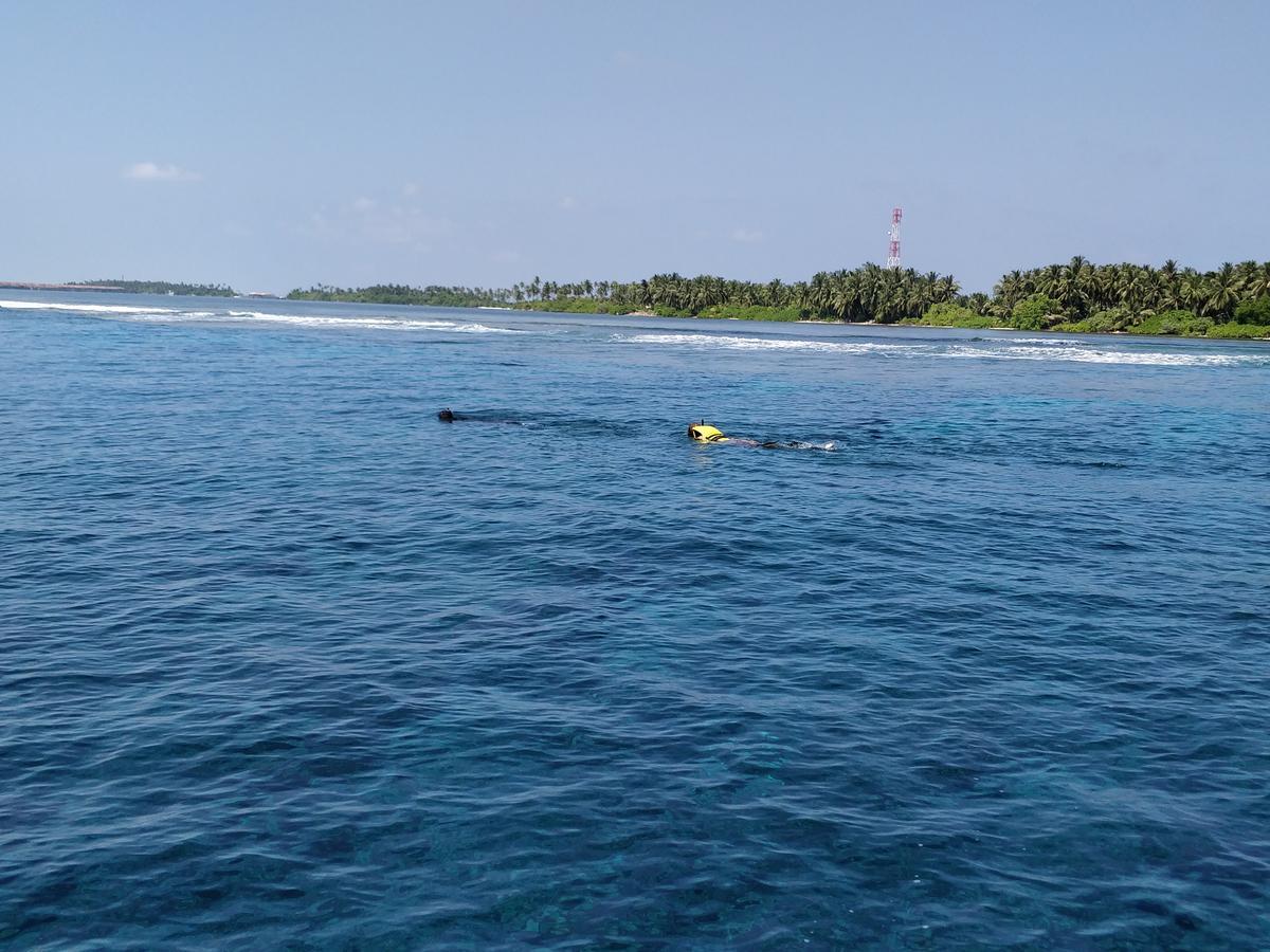 Island Guest Hotel Maamendhoo Bagian luar foto